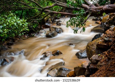 245 Tamhini Ghat Images, Stock Photos & Vectors | Shutterstock