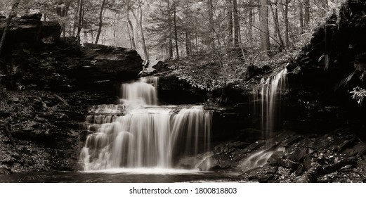 Waterfalls in woods in black and white panorama. - Powered by Shutterstock