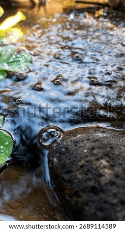 Waterflow in the fish pool