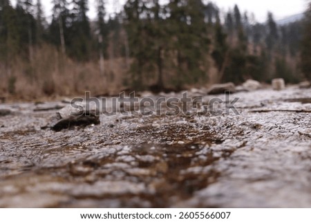 waterflow in the mountain stream