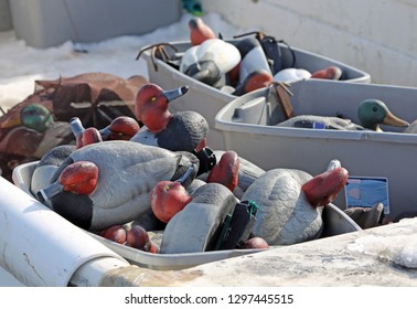  Waterfowl Hunting Decoys, Maryland Eastern Shore, USA