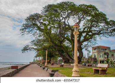 Waterfront with beautiful trees in cloudy weather. Dumaguete City, Philippines