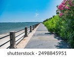 waterfront in Charleston Harbor in South Carolina on a sunny day. A tourist attraction.