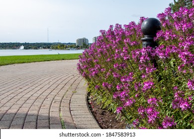 Waterfront Trail Along Lake Simple In Barrie, Ontario