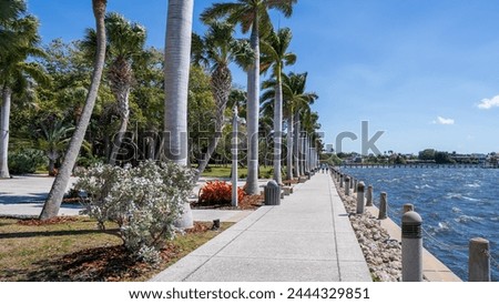 Waterfront walkway lined with palm trees along a choppy river, with a clear blue sky above in a sunny, tropical setting.