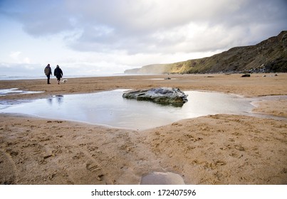 Watergate Bay Dog Walkers