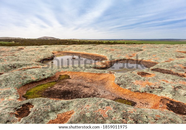 Waterholes full of rain water on top of a granite\
rock. Aboriginal people relied on rock holes as water sources. Eyre\
Peninsula, Gawler ranges national park, South Australia\'s granite\
country