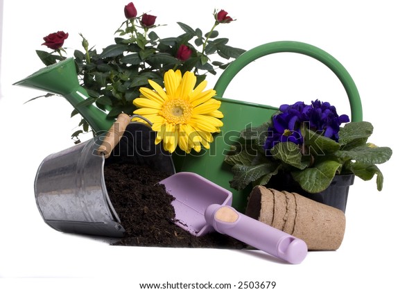 Watering Bucket Rose All Gardening Tools Stock Photo (Edit Now) 2503679