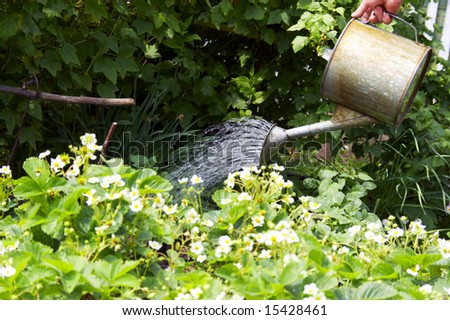 Watering can