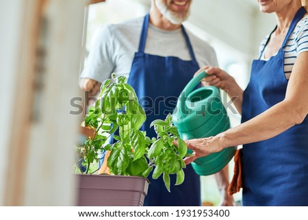 Watering can during plants watering by woman indoors