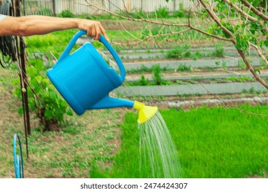 watering from a watering can, a man watering from a sprayer. The concept of floriculture and planting flowers and vegetables. Close-up. Gardening. Agriculture. - Powered by Shutterstock