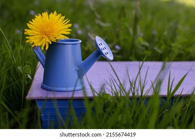 Watering Can On A Flower Bed In Hot Sunny Weather, Garden Equipment