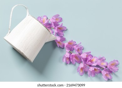 Watering Can With Stream Of Purple Rhododendron Flowers On A Blue Background. Top View, Flat Lay, Copy Space. Floral Background.