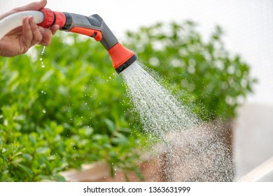 Watering Different Plants Greenhouse Garden Stock Photo 1363631999 ...