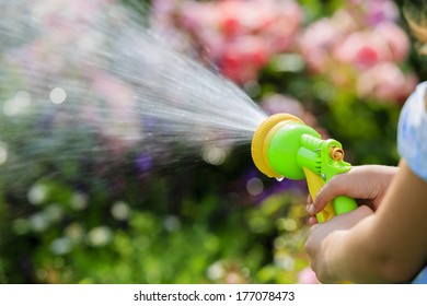 Watering, Flower Garden - Child Watering Roses With Garden Hose 