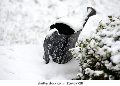 Watering In The Garden Covered With Snow