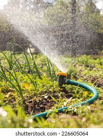 garden water sprayer