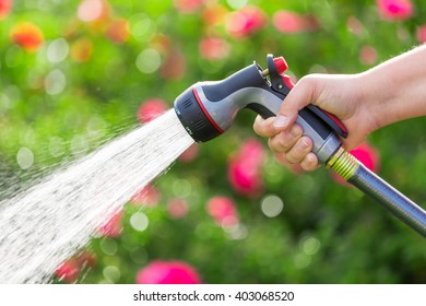 19,257 Hose flowers Images, Stock Photos & Vectors | Shutterstock