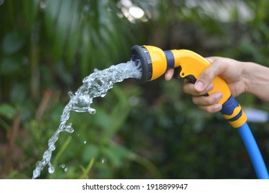 Watering Garden Flowers With Hose - Close Up Soaker Water