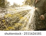 Watering the garden. Many drops of water fall on the garden bed. Irrigation of the soil. Water sprinkler. A person waters the garden from a garden hose.