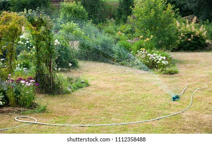 Drought Lawn High Res Stock Images Shutterstock