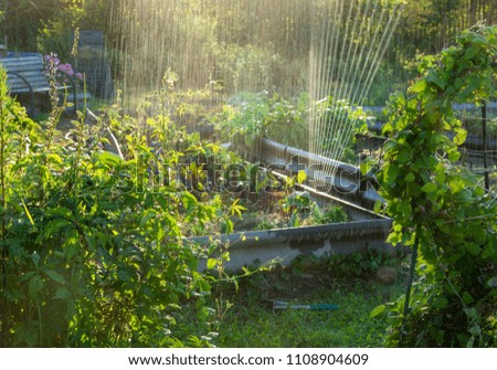 Similar – #A0# Garten mit Sonne