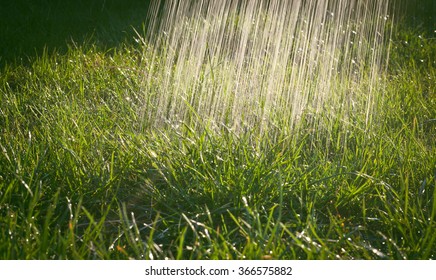 Watering The Grass