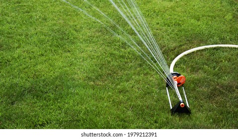 Watering The Green Lawn
Watering The Grass With A Rotating Sprinkler Installed On The Lawn.