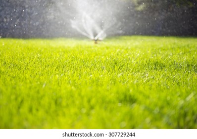 Watering The Lawn