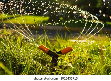 Watering the lawn with automatic irrigation sprinkler at sunset. Lawn care and gardening concept.
