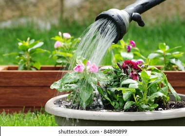 Watering Plants