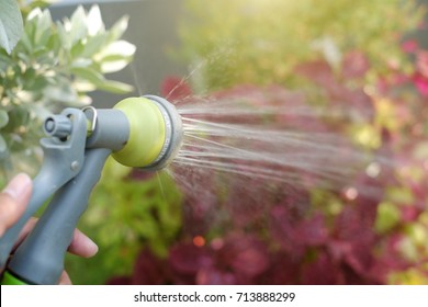  Watering Plants And Flowers With Garden Hose