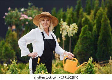 Watering plants. Senior woman is in the garden at daytime. - Shutterstock ID 1791602840