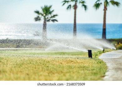 Watering system sprays water on green lawn on territory of hotel. Grass watered on bright sunny day at resort. Summer vacation close view - Shutterstock ID 2168373509
