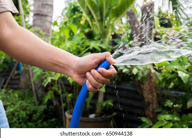 Watering A Tree