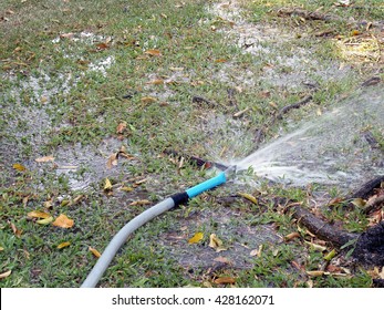 Watering Trees And Grass From Hose And Pipe, Water Overflowed From Hose Until It All Flood Over Green Grass Lawn, Watering The Backyard Garden To Lush And Fresh In Dry Season