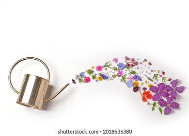 watering, water in the form of flowers and petals pours from a small golden watering can isolated on a white background. Creative concept of beauty and life or hello summer. Top View Flat Lay