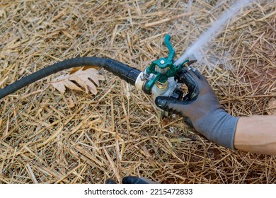 Watering Your Lawn With Lawn Sprinkler Installation By Professional Technician Who Is Experienced In Landscaping Gardening Near New Home