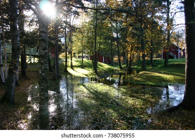 Waterlandscape