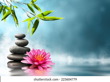 waterlily with stones and bamboo - Powered by Shutterstock