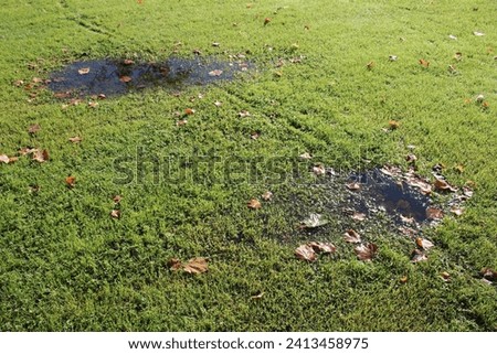 Waterlogged lawn with two visible puddles, taken in autumn in morning sunlight