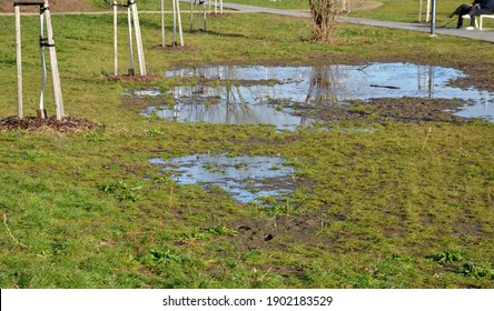 the waterlogged soil in the park does not receive water from the spring rain. poorly executed drainage or cracked automatic irrigation pipeline created a flood, a road accident near the road