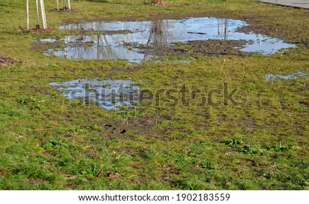 the waterlogged soil in the park does not receive water from the spring rain. poorly executed drainage or cracked automatic irrigation pipeline created a flood, a road accident near the road