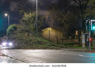 Waterloo Road, Manchester/Uk-01-13-2020 A Fallen Tree In The Middle Of The Road After A Windy Afternoon. The Car Drove Into Fallen Tree.