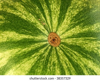 water-melon
