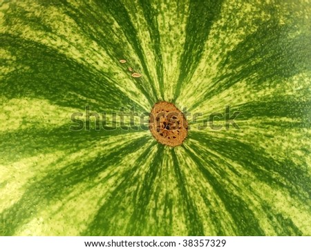 water-melon