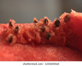 Watermelon close up