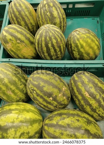 watermelon, fruit, green, type fruit 