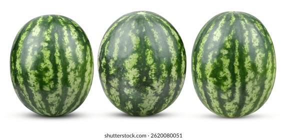 watermelon isolated on white background