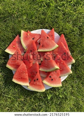 Watermelon plate and green grass